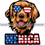 Golden Retriever Dog Wearing Sunglasses Merica Color Text Design Puppy Head Pedigree Purebred Vector Animal Smiling Face Doggy Clipart SVG