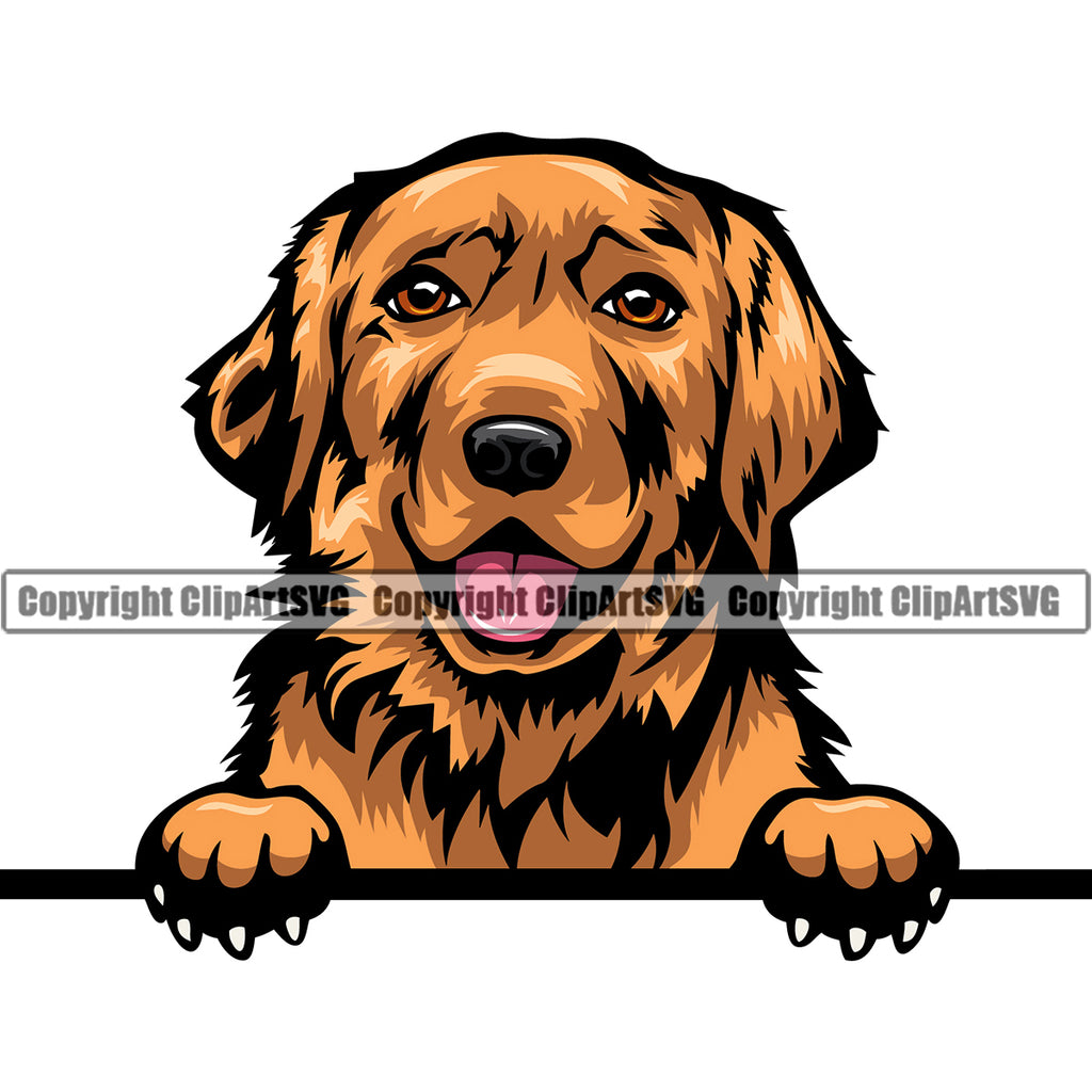 Golden Retriever Dog Peeking Smiling Face Puppy Head Purebred Pup Pedigree Vector K9 Animal Portrait Doggy Cute Clipart SVG