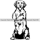 Golden Retriever Dog Begging Puppy Head Purebred Pup Pedigree Vector K9 Animal Portrait Doggy Body Design Clipart SVG