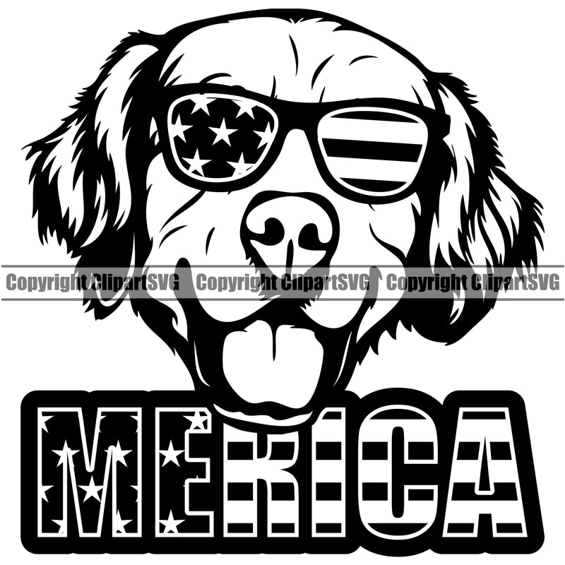 Golden Retriever Dog Wearing Sunglasses Merica Text Puppy Head Purebred Pup Pedigree K9 Animal Portrait Doggy Vector Clipart SVG