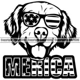 Golden Retriever Dog Wearing Sunglasses Merica Text Puppy Head Purebred Pup Pedigree K9 Animal Portrait Doggy Vector Clipart SVG