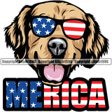 Golden Retriever Dog Wearing Sunglasses Merica Text Puppy Head Purebred Pup Pedigree Vector K9 Animal Portrait Doggy Clipart SVG