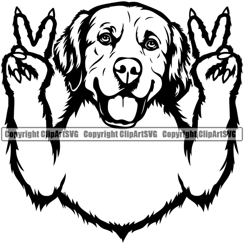 Golden Retriever Dog Peace Hand Sign Head Face Design Puppy Head Purebred Pup Pedigree Vector Animal Doggy Clipart SVG