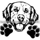 Golden Retriever Dog Peeking Smiling Face Animal Head Design Puppy Purebred Pup Pedigree K9 Animal Portrait Doggy Clipart SVG