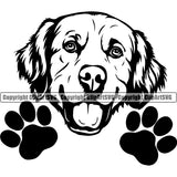 Golden Retriever Dog Peeking Puppy Head Purebred Pup Pedigree Design K9 Animal Portrait Doggy Face Clipart SVG