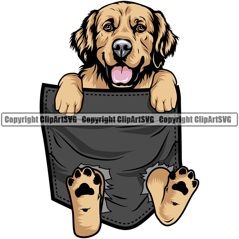 Golden Retriever Dog Hanging From Shirt Pocket Design T-Shirt Animal Tshirt Puppy Head Purebred Pup Pedigree Vector T-Shirt Clipart SVG