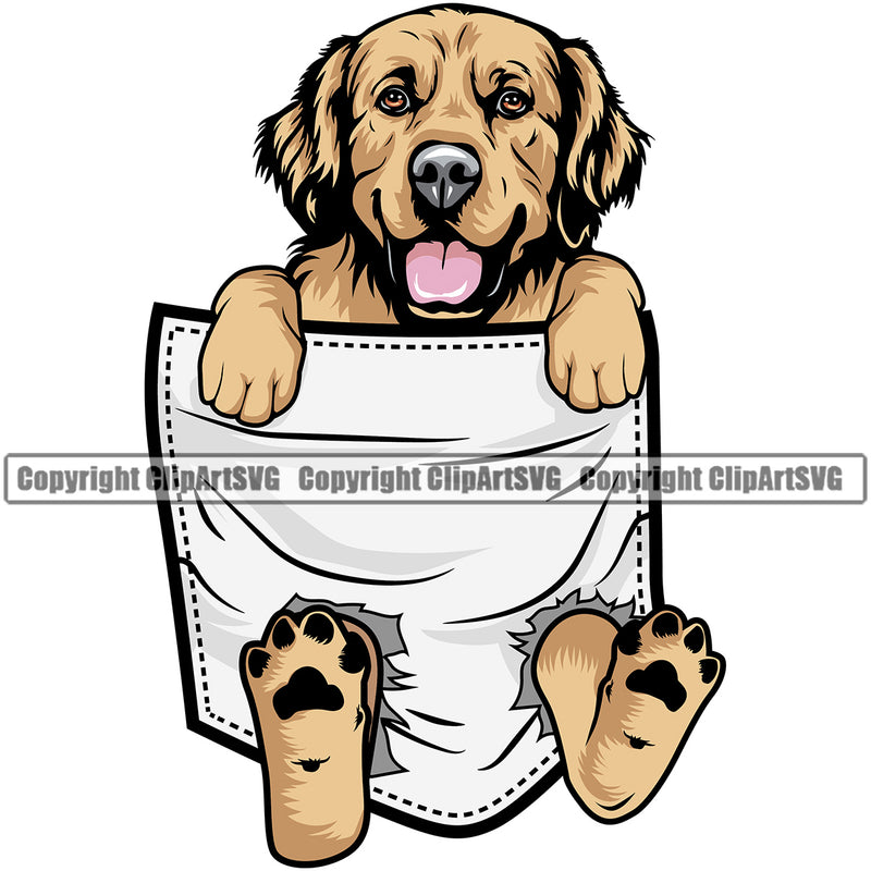 Golden Retriever Dog Hanging From Shirt Pocket Color Design T-Shirt Animal Tshirt Puppy Head Purebred Pup Pedigree Vector T-Shirt Clipart SVG