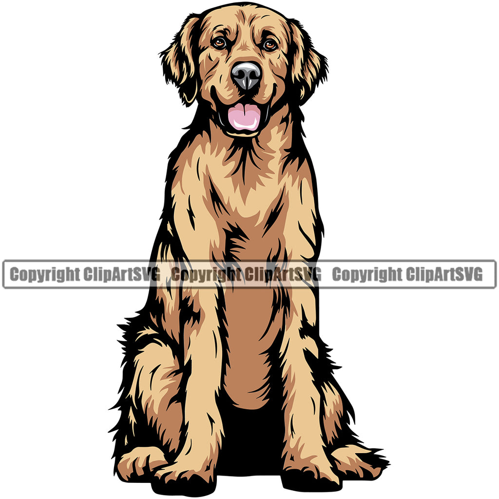 Golden Retriever Dog Sitting Color Body Design Puppy Head Purebred Pup Pedigree Vector K9 Animal Portrait Doggy Clipart SVG