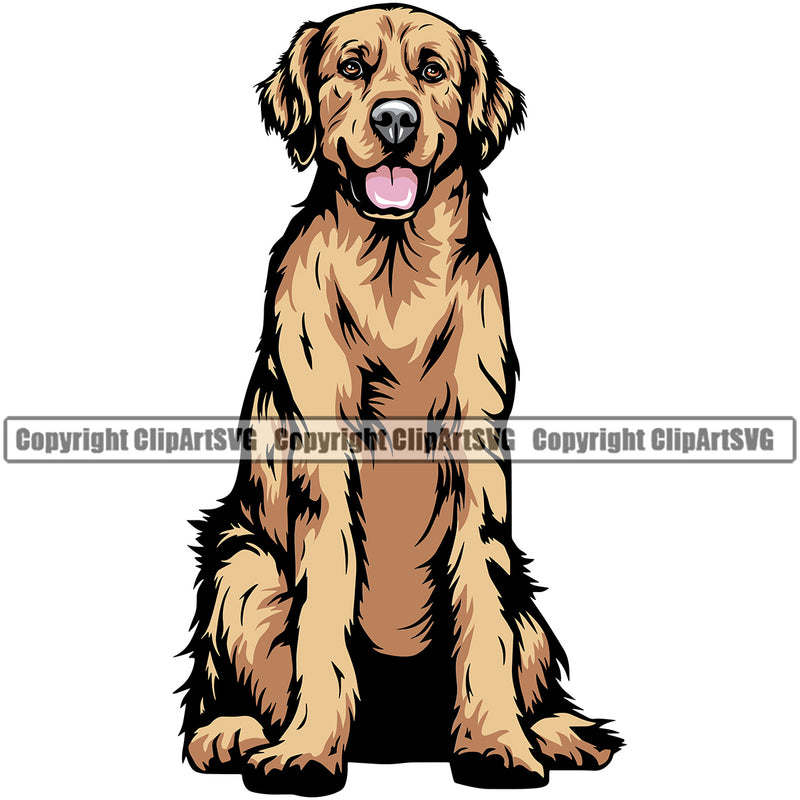 Golden Retriever Dog Sitting Color Body Design Puppy Head Purebred Pup Pedigree Vector K9 Animal Portrait Doggy Clipart SVG