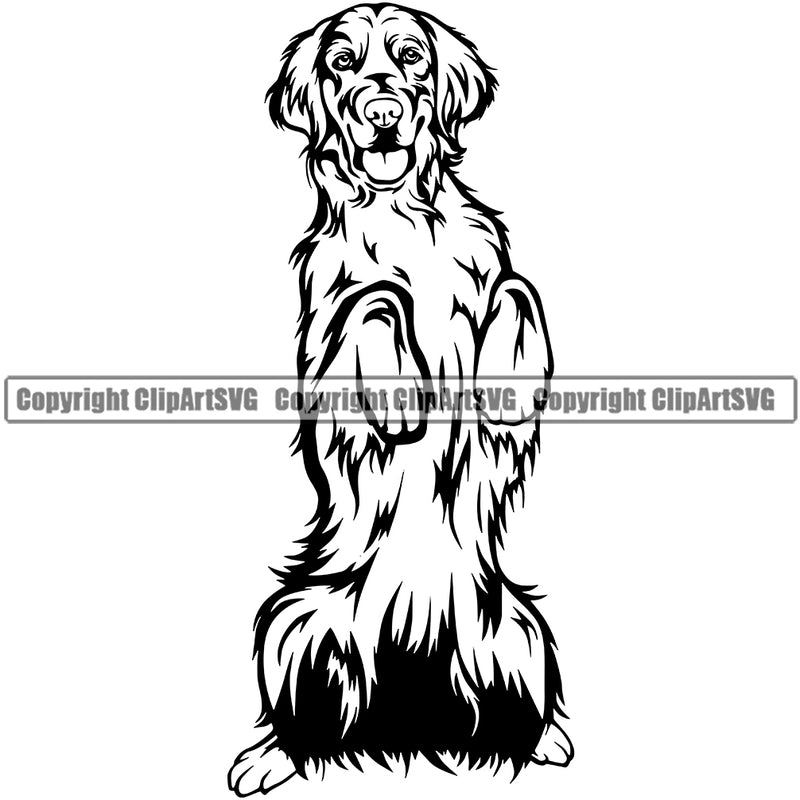 Golden Retriever Dog Begging Puppy Head Purebred Pup Pedigree Vector K9 Animal Portrait Doggy Face Cute Clipart SVG