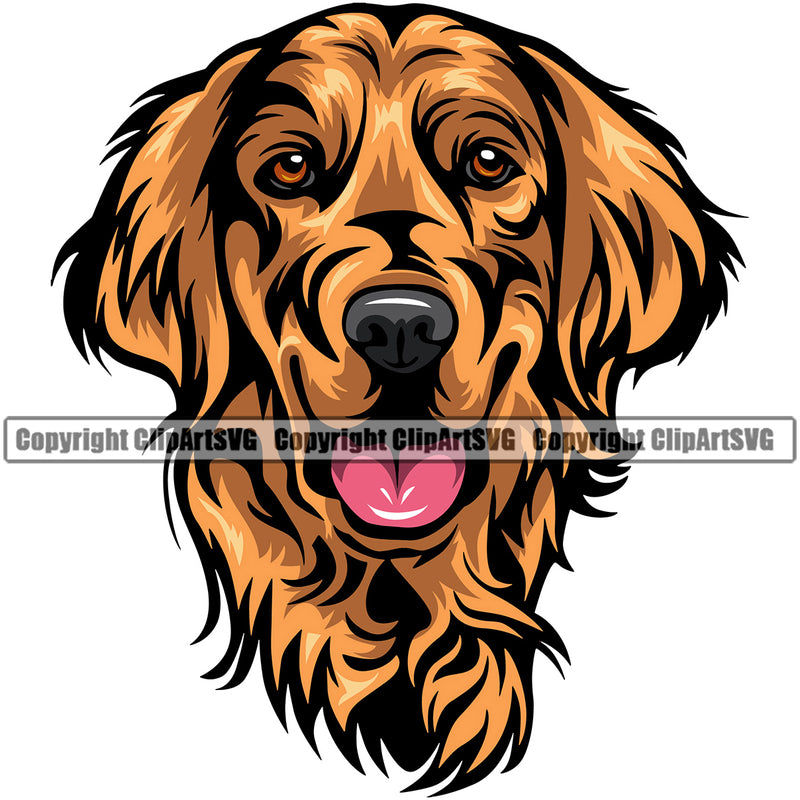 Golden Retriever Dog Head Color Design K9 Animal Portrait Doggy Face Cute Vector Puppy Head Purebred Pup Pedigree Clipart SVG