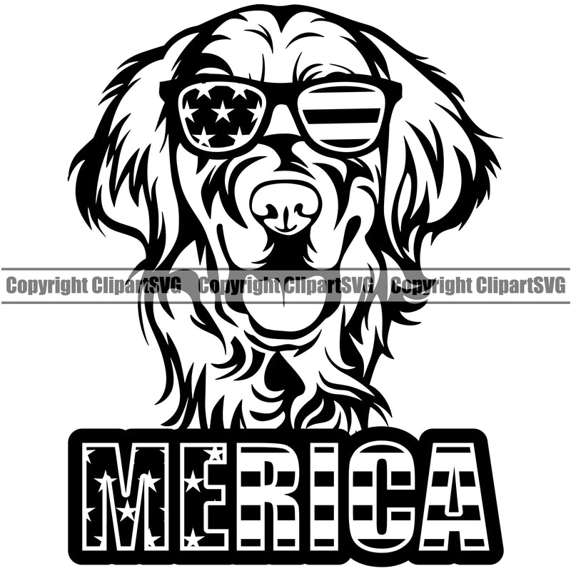 Golden Retriever Dog Wearing Sunglasses Merica text Puppy Head Purebred Pup Pedigree Vector K9 Animal Portrait Doggy Clipart SVG