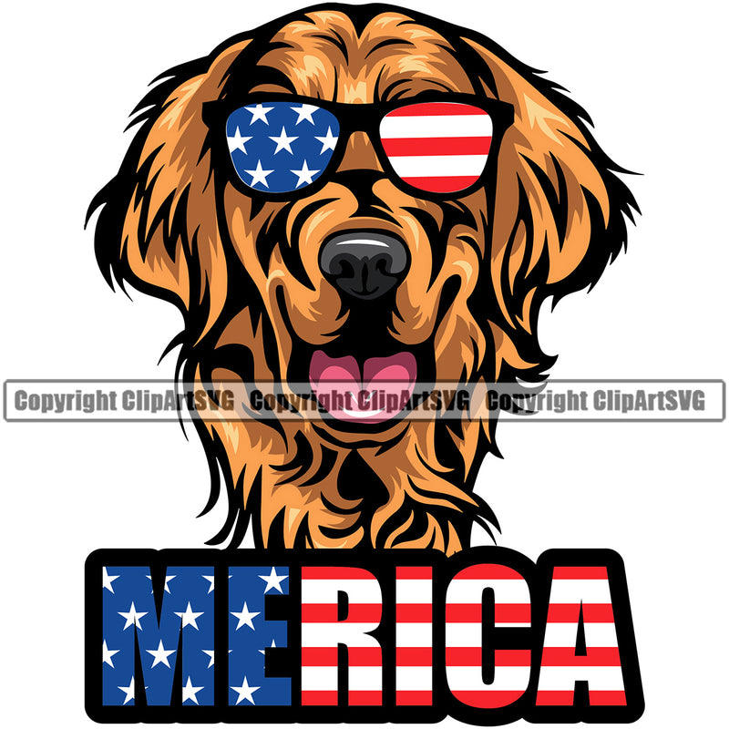 Golden Retriever Dog Wearing Sunglasses Merica Text Vector Color Head Design Cute Face Puppy Purebred Pedigree K9 Animal Portrait Doggy Face Clipart SVG