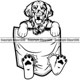 Golden Retriever Dog Hanging From Shirt Pocket Design T-Shirt Puppy Head Purebred Pup Pedigree Tshirt Doggy Puppy Animal K9 Clipart SVG