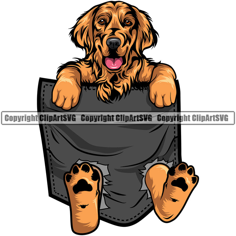 Golden Retriever Dog Hanging From Shirt Pocket Vector Color T-Shirt Body Tshirt Doggy puppy Animal T-Shirt Purebred Clipart SVG