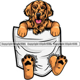 Golden Retriever Dog Hanging From Shirt Pocket Color Body Design Puppy Head Purebred Pup T-Shirt Pedigree Vector K9 Animal Portrait Doggy