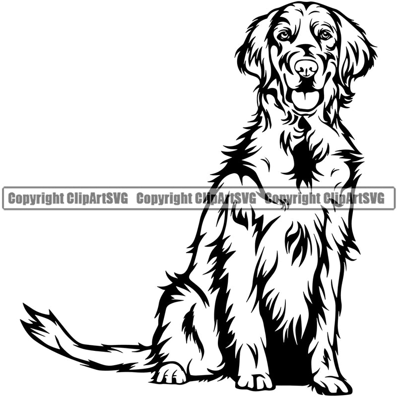 Golden Retriever Dog Sitting K9 Animal Portrait Doggy Smiling Face Puppy Head Purebred Pup Pedigree Vector Clipart SVG