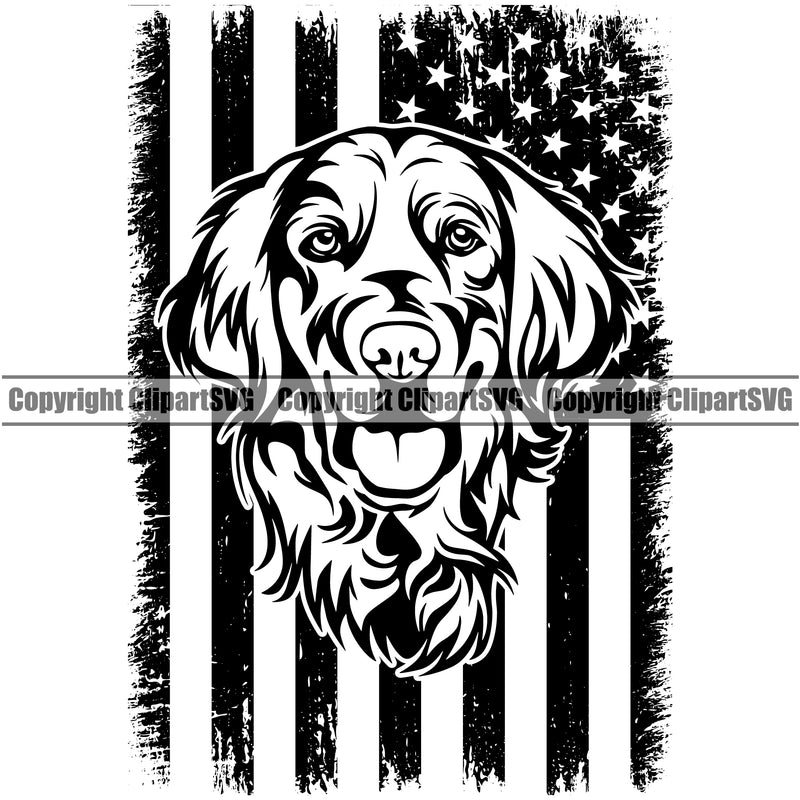 Golden Retriever Dog Under USA Flag Design Puppy Head Purebred Pup Pedigree Vector K9 Animal Portrait Doggy Clipart SVG