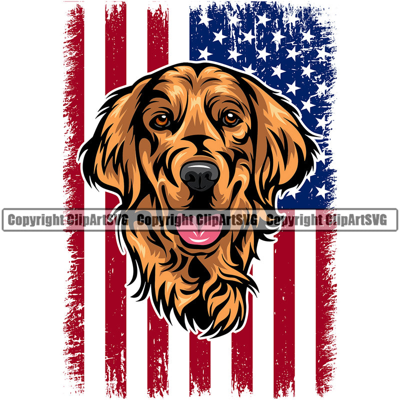 Golden Retriever Dog Under USA Flag Design Purebred Pup Pedigree Animal Head K9 Portrait Doggy Face Vector Clipart SVG