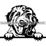 Goldendoodle Dog Peeking Cute Smiling Face Puppy Head Purebred Pup Pedigree Design K9 Animal Portrait Doggy Face Clipart SVG