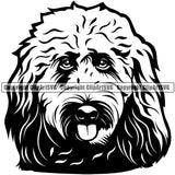 Goldendoodle Dog Head Design Black Color K9 Animal Portrait Doggy Face Cute Vector Puppy Head Purebred Pup Pedigree Vector Clipart SVG