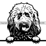 Goldendoodle Dog Peeking Head Design Cute Face Animal Vector Puppy Head Purebred Pup Pedigree K9 Portrait Doggy Clipart SVG