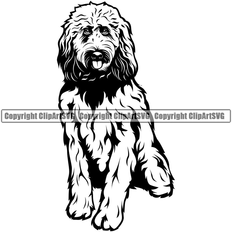 Goldendoodle Dog Sitting Design Element Puppy Head Purebred Pup Pedigree Vector K9 Animal Portrait Doggy Face Cute Clipart SVG