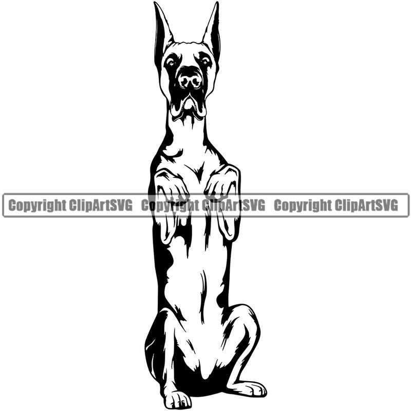 Great Dane Dog Begging Design K9 Animal Portrait Doggy Face Cute Vector Puppy Head Purebred Pup Pedigree Clipart SVG