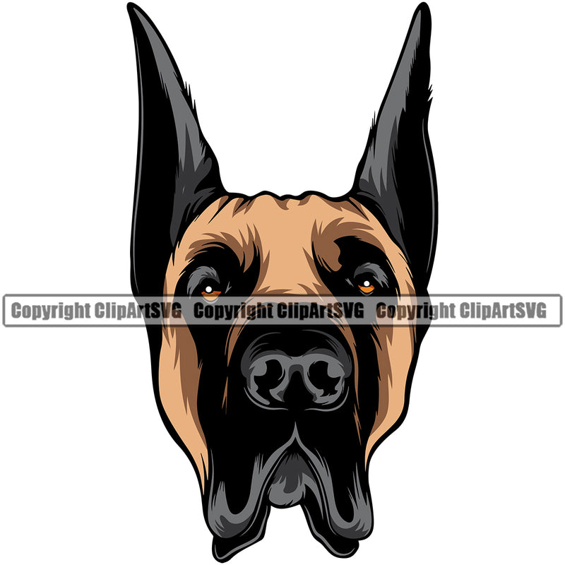 Great Dane Dog Color Head Design Puppy Head Purebred Pup Pedigree Vector K9 Animal Doggy Face Portrait Clipart SVG