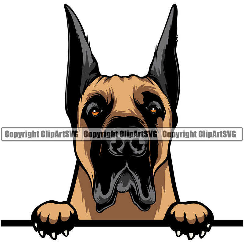 Great Dane Dog Peeking Design Puppy Head Purebred Pup Pedigree Vector K9 Animal Portrait Doggy Face Cute Clipart SVG