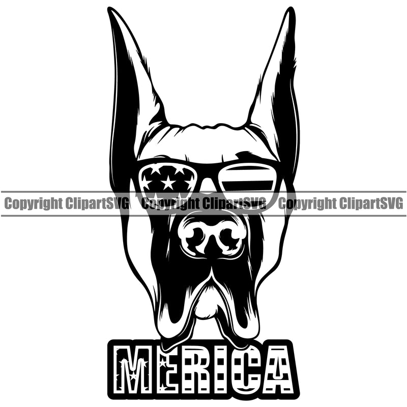 Great Dane Dog Wearing Sunglasses Merica Text Puppy Head Purebred Pup Pedigree Vector K9 Animal Portrait Doggy Clipart SVG