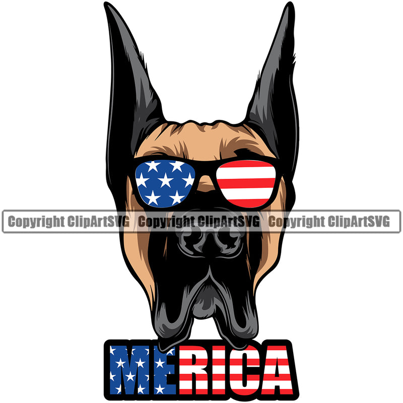 Great Dane Dog Wearing Sunglasses Head Color Design Merica Text Puppy Purebred Pup Pedigree Vector K9 Animal Portrait Doggy Clipart SVG