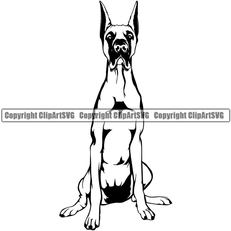 Great Dane Dog Sitting Design Puppy Head Purebred Pup Pedigree Vector K9 Animal Portrait Doggy Face Cute Clipart SVG