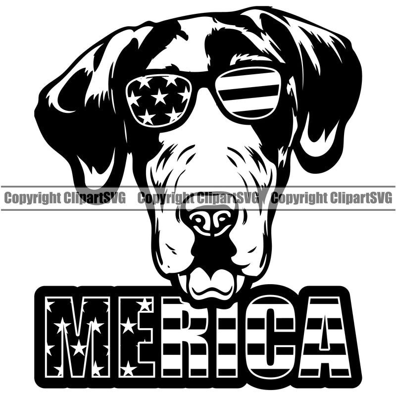 Great Dane Dog Wearing Sunglasses Merica Text Design Animal Face And Head Vector Doggy Puppy Pup Clipart SVG