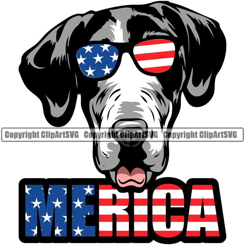 Great Dane Dog Color Wearing Sunglasses Merica Text Puppy Head Purebred Pup Pedigree Vector K9 Animal Portrait Doggy Clipart SVG