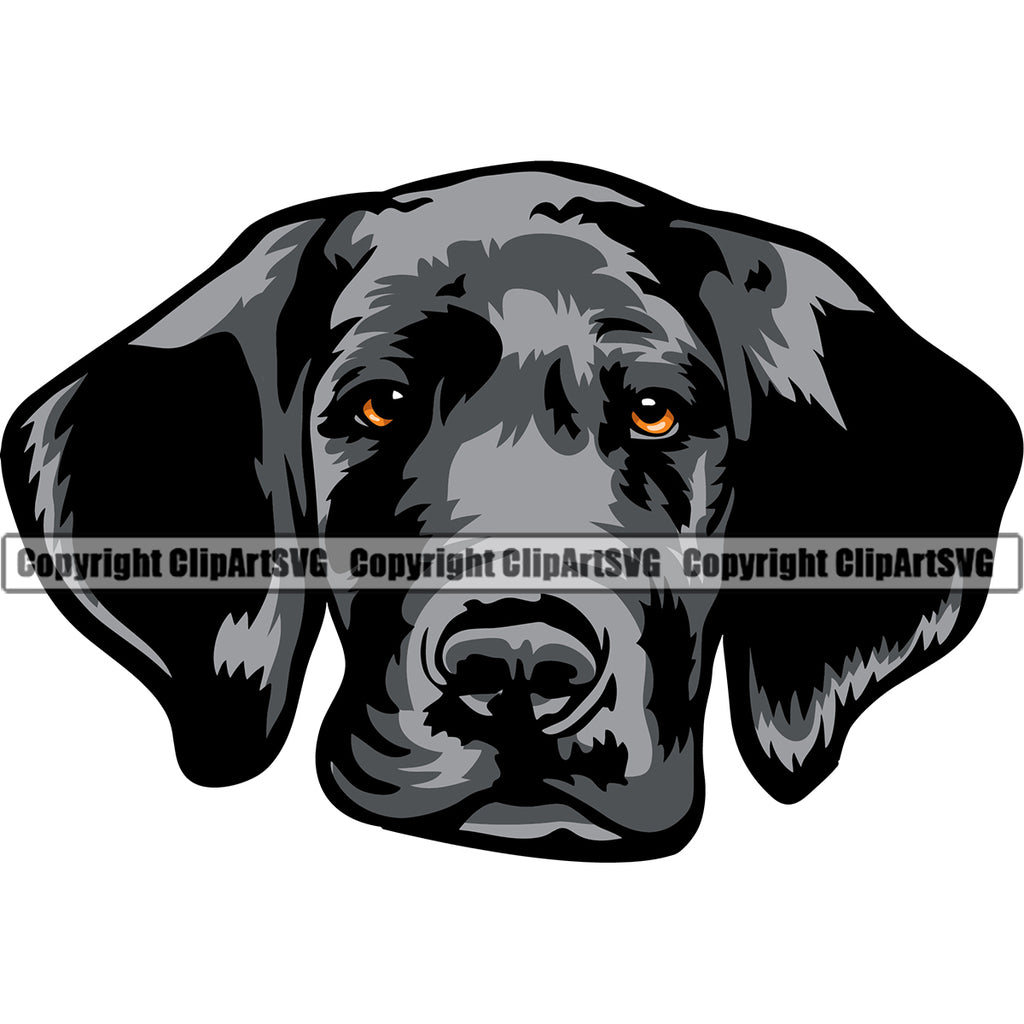 Great Dane Dog Black Color Head Design Puppy Head Purebred Pup Pedigree Vector K9 Animal Portrait Doggy Clipart SVG