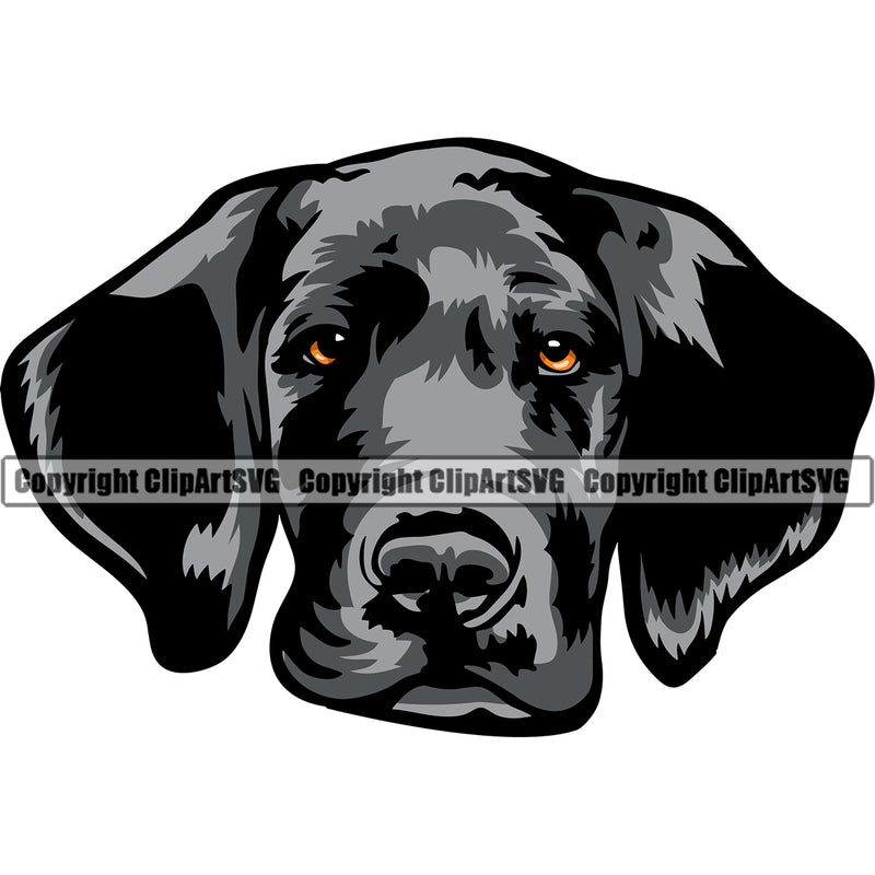 Great Dane Dog Black Color Head Design Puppy Head Purebred Pup Pedigree Vector K9 Animal Portrait Doggy Clipart SVG