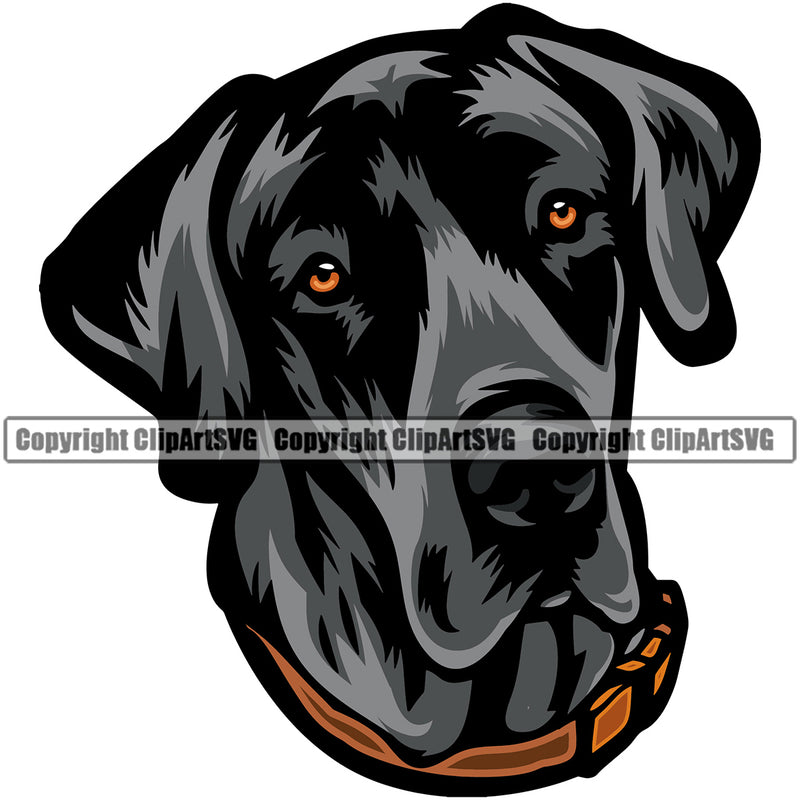 Great Dane Dog Color Head Design Puppy Head Purebred Pup Pedigree Vector K9 Animal Portrait Doggy Face Clipart SVG