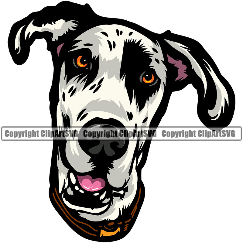 Great Dane Dog Smiling Face Head Color Black Animal Vector Puppy Head Purebred Pedigree Design K9 Animal Portrait Doggy Face Clipart SVG