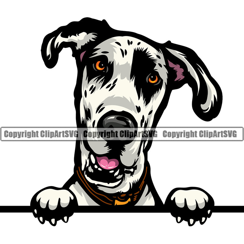 Great Dane Dog Peeking Smiling Face Puppy Head Purebred Pup Pedigree Vector K9 Animal Portrait Doggy Face Cute Clipart SVG