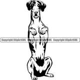 Great Dane Dog Begging Design Head Purebred Pup Pedigree Black Body K9 Animal Portrait Doggy Face Cute Clipart SVG