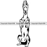 Great Dane Begging Dog K9 Animal Portrait Doggy Face Cute Vector Design Head Purebred Pup Pedigree Clipart SVG