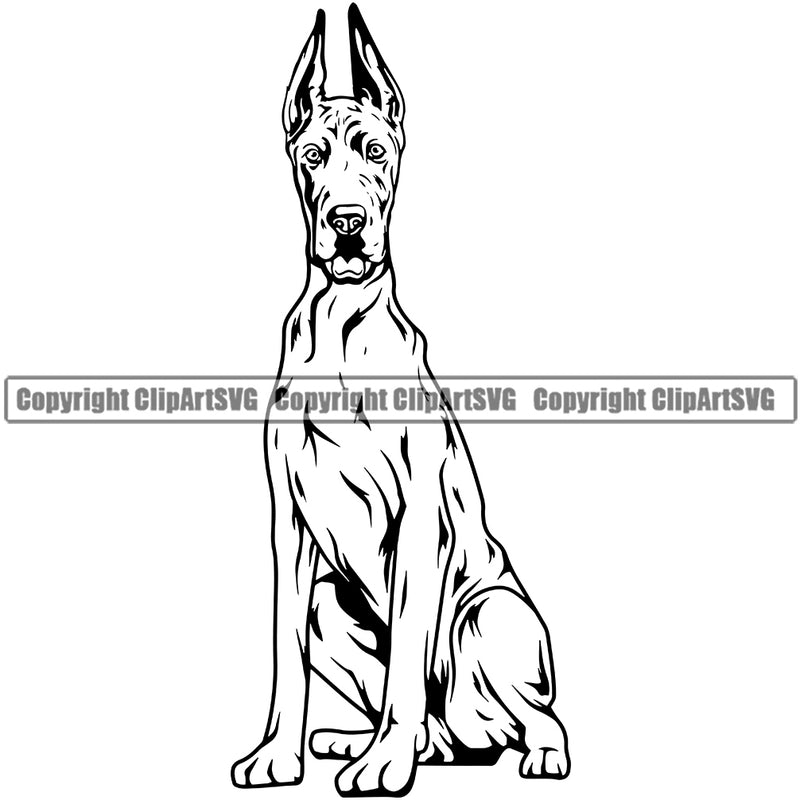 Great Dane Dog Sitting Puppy Head Purebred Pup Pedigree Design K9 Animal Portrait Doggy Face Cute Clipart SVG