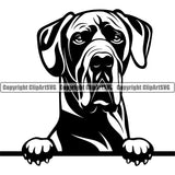 Great Dane Dog Peeking Design Puppy Head Purebred Pup Pedigree Vector K9 Animal Portrait Doggy Face Cute Clipart SVG