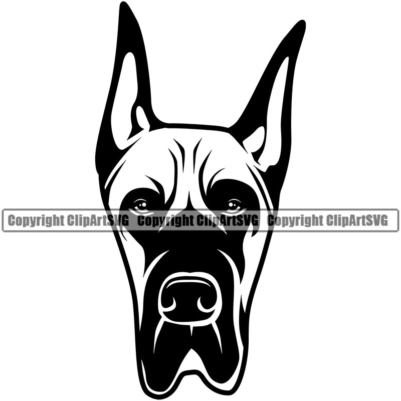 Great Dane Dog Head Animal Face Design Purebred Pup Pedigree Vector K9 Animal Portrait Doggy Face Cute Clipart SVG