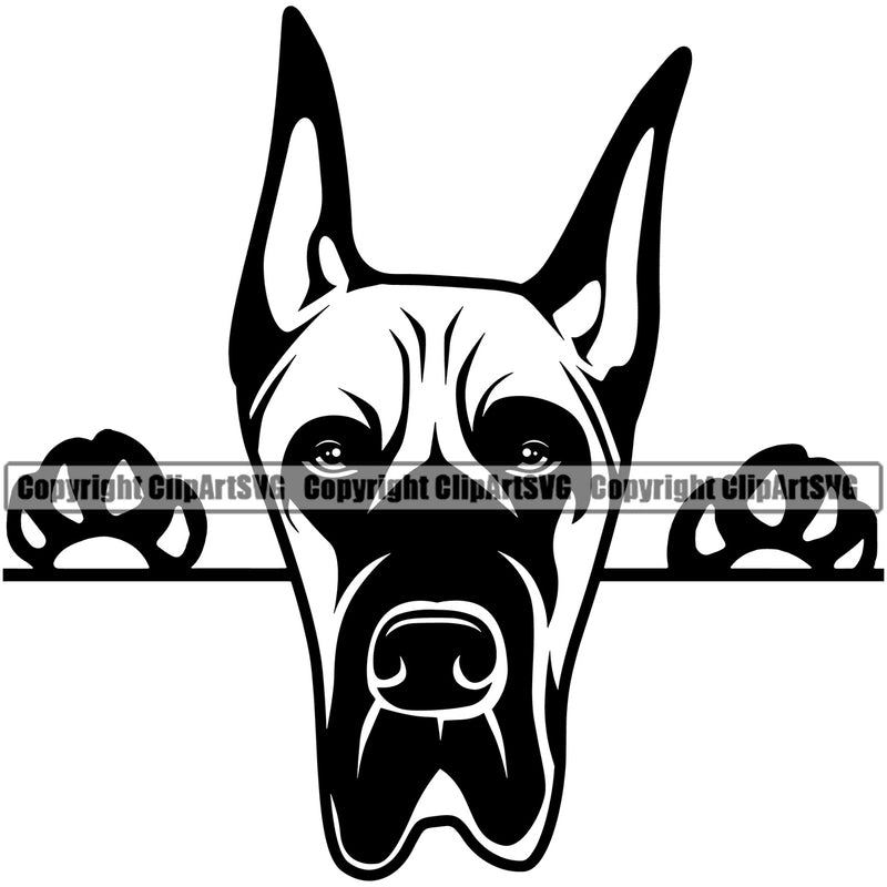 Great Dane Dog Peeking Position Animal Face Doggy Head Purebred Pup Pedigree Vector K9 Portrait Clipart SVG