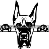 Great Dane Dog Peeking Position Animal Face Doggy Head Purebred Pup Pedigree Vector K9 Portrait Clipart SVG