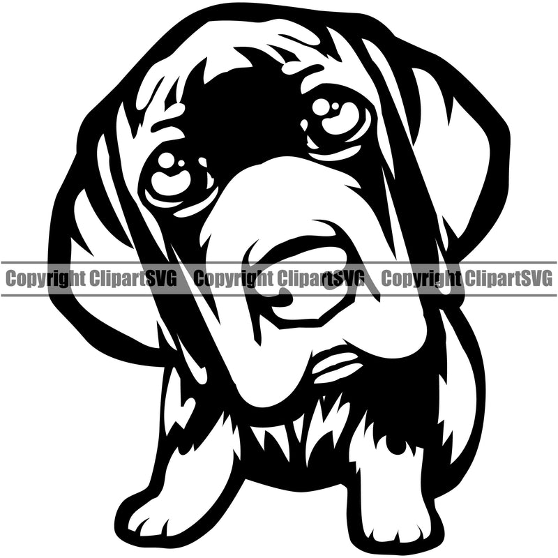 Great Dane Puppy Dog Cute Face Animal Body K9 Portrait Doggy Head Purebred Pup Pedigree Vector Canine Clipart SVG