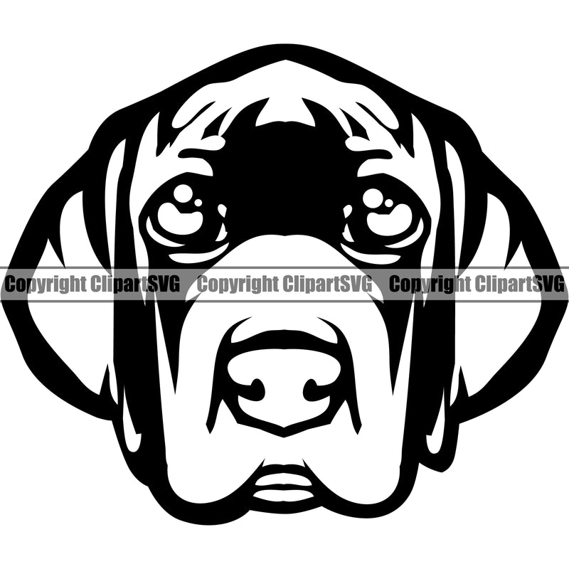 Great Dane Dog Head Design Black White Design Puppy Purebred Pup Pedigree Vector K9 Animal Portrait Doggy Face Cute Clipart SVG