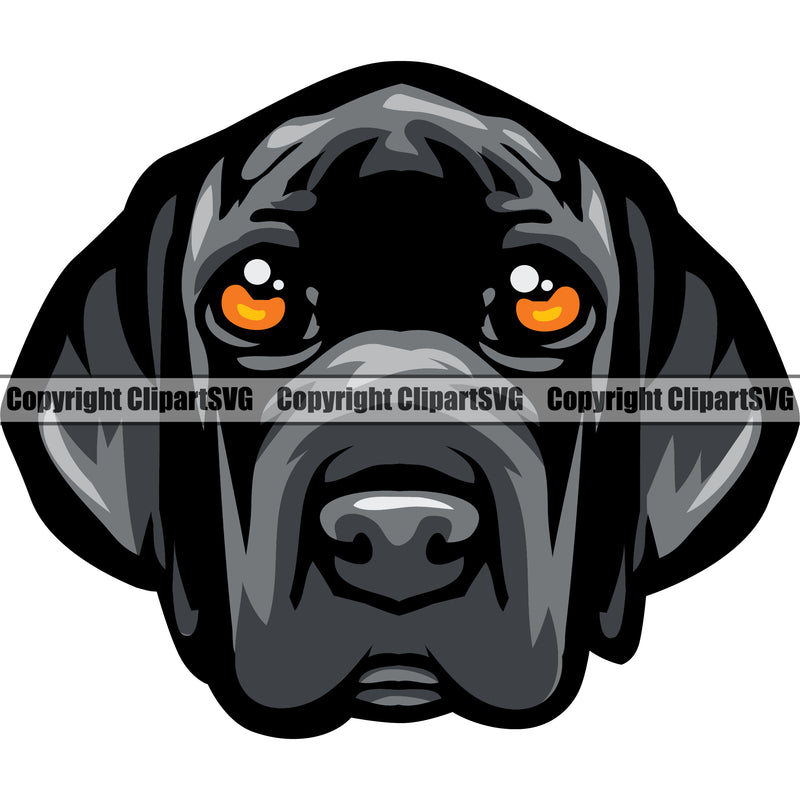 Great Dane Dog Color Face Design Animal Head Logo Vector Puppy Head Purebred Pup Pedigree Canine K-9 K9 Animal Portrait Doggy Clipart SVG